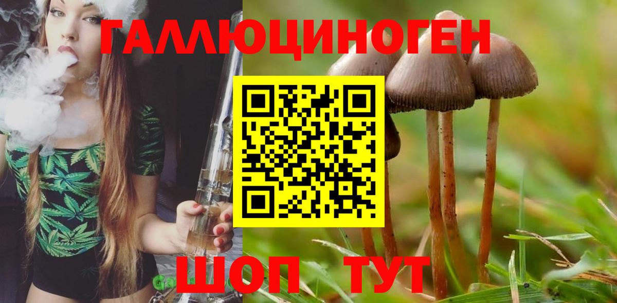 Галлюциногенные грибы прущие грибы  Галлюциногенные грибы Magic Shrooms  Фролово  Вход с VPN 